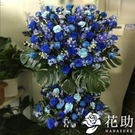 楽天市場 花屋 モンステラの通販