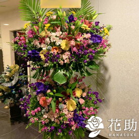 楽天市場 花屋 モンステラの通販