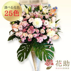 yEn͂z JXj j ԏIԉ̃Xe肨jX^h1i 20000~ ԗ tX^ IׂԐF25F z Dt 摜 ݒu 