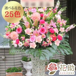 yEn͂z JXj j ԏIԉ̃Xe肨jX^h1i 21000~ ԗ tX^ IׂԐF25F z Dt 摜 ݒu 