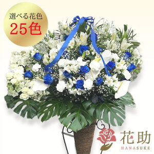 yEn͂z JXj j ԏIԉ̃Xe肨jX^h1i 22000~ ԗ tX^ IׂԐF25F z Dt 摜 ݒu 