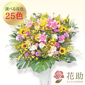 yEn͂z JXj j ԏIԉ̃Xe肨jX^h1i 23000~ ԗ tX^ IׂԐF25F z Dt 摜 ݒu 