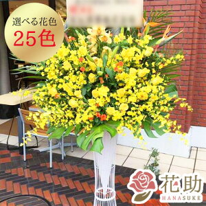 yEn͂zz Dt 摜  t[RVFWIԉ̃XeX^h1i@35000~ D JXj J@j j 