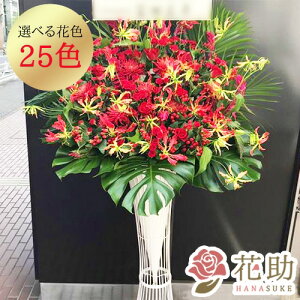 yEn͂zz Dt 摜 t[RVFWIԉ̃XeX^h1i@30000~ D JXj J@j j 