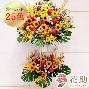 yEn͂z JXj j ԏIԉ̃Xe肨jX^h2i 32000~ ԗ tX^ IׂԐF25F z Dt 摜 ݒu 