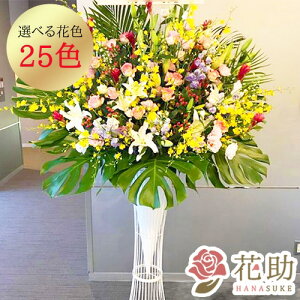 yEn͂z JXj j ԏIԉ̃Xe肨jX^h1i 25000~ ԗ tX^ IׂԐF25F z Dt 摜 ݒu 