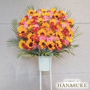 �y���������E��n�����͂��z�h ���ӂ̋C��������n���œ`���镪���Ĕz���y�u�[�P�X�^���h�ԁz�z������ ���D�t�� �摜�� ������� �t�����[�R���V�F���W�������I�����ԉ��̃u�[�P�X