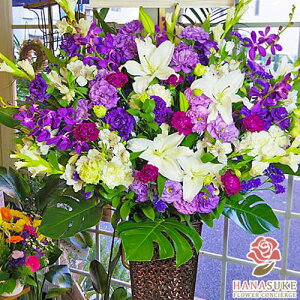 yEn͂zJXj ԏIԉ̂jt[X^h1i 30000~  tX^ IׂԐF25FI Dt 摜 ݒuE yΉzD J