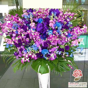 yEn͂zJXj ԏIԉ̂jt[X^h1i 35000~  tX^ IׂԐF25FI Dt 摜 ݒuE yΉzD J