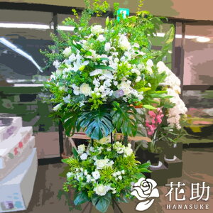 yEn͂zz Dt 摜  t[RVFWIԉ̃VbNȃi`O[X^h2i@30000~ D JXj J@j