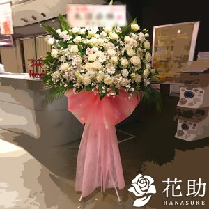 yEn͂zz Dt 摜  t[RVFWIԉ́yO{zt[X^hԁ@1i@35000~ D JXj J@j