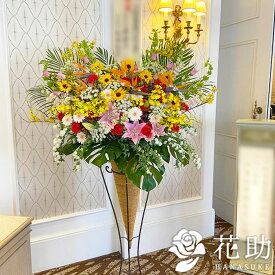 楽天市場 花屋 モンステラの通販