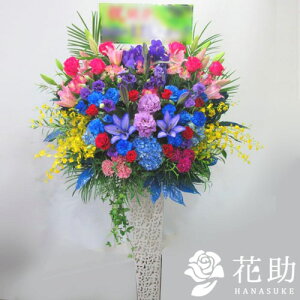 yEn͂zz Dt 摜  t[RVFWIԉ̐oX^h1i@20000~ D JXj J@j j \ 