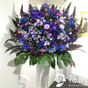 yEn͂zz Dt 摜  t[RVFWIԉ̐oX^h1i@23000~D JXj J@j j \ 