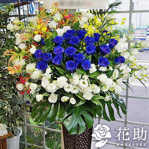yEn͂zz Dt 摜  t[RVFWIԉ̐oX^h1i@28000~ D JXj J@j j \ 