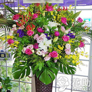 yEn͂zz Dt 摜  t[RVFWIԉ̃sNoX^h1i@22000~ D JXj J@j j 