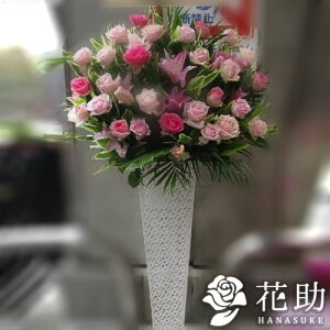 yEn͂zz Dt 摜  t[RVFWIԉ̃sNoX^h1i@30000~ D JXj J@j j 