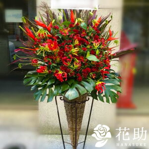 yEn͂zz Dt 摜  t[RVFWIԉ̐ԃoX^h1i@23000~ D JXj J@j j \ 