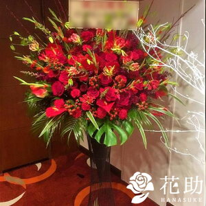 yEn͂zz Dt 摜  t[RVFWIԉ̐ԃoX^h1i@25000~ D JXj J@j j \ 