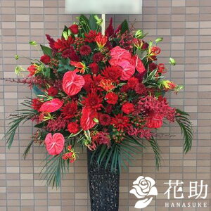 yEn͂zz Dt 摜  t[RVFWIԉ̐ԃoX^h1i@27000~ D JXj J@j j \ 