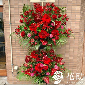 yEn͂zz Dt 摜  t[RVFWIԉ̐ԃoX^h2i@35000~ D JXj J@j j \ 