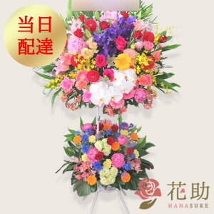 yEn͂zJXj ԏIԉ̂jt[X^h2i 31000~  tX^ IׂԐF25FI Dt 摜 ݒuE yΉzD J