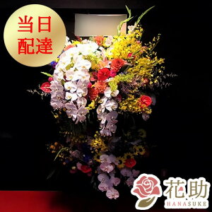 yEn͂zJXj ԏIԉ̂jt[X^h2i 50000~  tX^ IׂԐF25FI Dt 摜 ݒuE yΉzD J