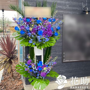 yEn͂zz Dt 摜  t[RVFWIԉ̐oX^h2i@50000~ D JXj J@j j \ 