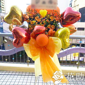 yEn͂zz D܂̓J[ht 摜 t[RVFWIԉ yO{zo[X^h1i@40000~ Ή bsO 