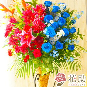 yEn͂zz Dt 摜  t[RVFWIԉ́yEEzn[tn[t jX^h1i 20000~ D JXj J@