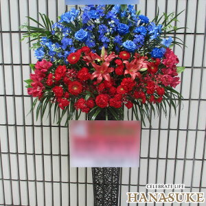 yEn͂zz Dt 摜 t[RVFWIԉ́yEzn[tn[t jX^h1i 25000~ D JXj J@