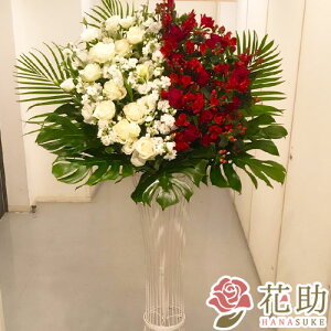 yEn͂zz Dt 摜 t[RVFWIԉ́yEEzn[tn[t jX^h1i 25000~ D JXj J@