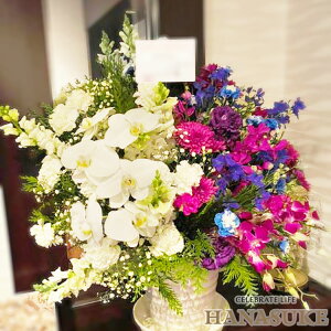 ySnz JXj a jt[RVFWIԉ̃n[tn[t AWgԁ@25000~ Dj \ z D܂̓J[ht 摜