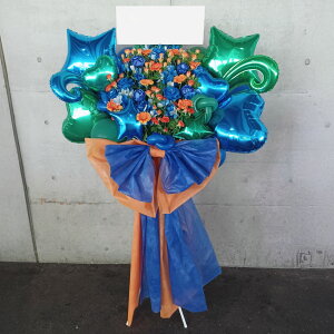 yEn͂zz D܂̓J[ht 摜񍐃t[RVFWIԉ́yO{zo[X^h1i 35000~ Ή bsO w