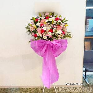 yEn͂zz Dt 摜  @t[RVFWIԉ́yO{zt[X^hԁ@1i@30000~ D JXj J@j