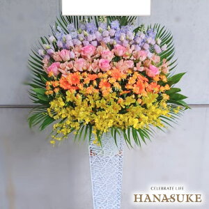 �y���������E��n�����͂��z�z������ ���D�t�� �摜�� ��������t�����[�R���V�F���W�������I�����ԉ��̃O���f�[�V���� �X�^���h��1�i 50000�~ ���D���� �J�X�j�� �J�@�j�� �����j�� ���\