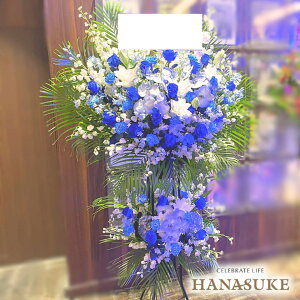 �y���������E��n�����͂��z�z������ ���D�t�� �摜�� ������� �t�����[�R���V�F���W�������I�����ԉ��̂��j���X�^���h�� ���� 2�i 80000�~ �Ή� ���D���� �J�X�j�� �J�@�j�� �����j�� ��