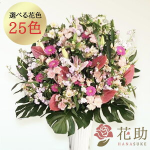 yEn͂zJXj ԏIԉ̂jt[X^h1i 20000~  tX^ IׂԐF25FI Dt 摜 ݒuE yΉzD J