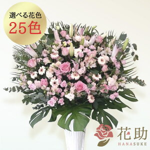 yEn͂zJXj ԏIԉ̂jt[X^h1i 21000~  tX^ IׂԐF25FI Dt 摜 ݒuE yΉzD J