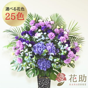 yEn͂zJXj ԏIԉ̂jt[X^h1i 22000~  tX^ IׂԐF25FI Dt 摜 ݒuE yΉzD J