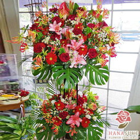 楽天市場 リニューアルオープン 花の通販