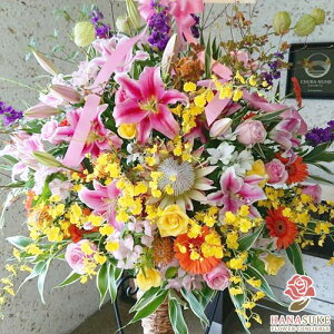 yEn͂zJXj ԏIԉ̂jt[X^h1i 25000~  tX^ IׂԐF25FI Dt 摜 ݒuE yΉzD J