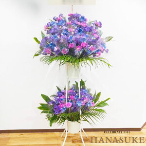 �y���������E��n�����͂��z�h ���ӂ̋C��������n���œ`����"�����Ĕz���y�u�[�P�X�^���h�ԁz�z������ ���D�t�� �摜�� ������� �t�����[�R���V�F���W�������I�����ԉ��̃u�[�P�X