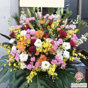 ynzuz͂vXȌ`̃X^h 1i 18000~  tX^ Dt 摜 ݒuE JXj D JƏj J@j