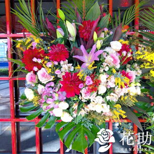 ynzuz͂vXȌ`̃X^h 1i 17000~  tX^ Dt 摜 ݒuE JXj D JƏj J@j