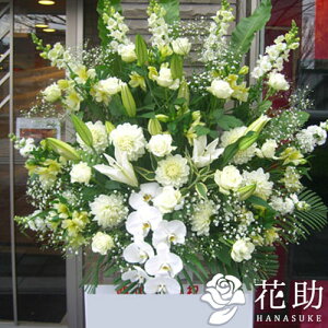 ynzuz͂vXȌ`̃X^h 1i 19000~  tX^ Dt 摜 ݒuE JXj D JƏj J@j