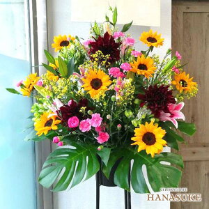 ynzuz͂vXȌ`̃X^h 1i 15000~  tX^ Dt 摜 ݒuE yΉzD JƏj J@j