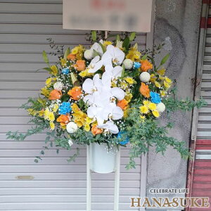 yEn͂zz Dt 摜 t[RVFWIԉ̌ӒX^h1i@25000~ D JXj J@j j \ 
