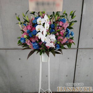 yEn͂zz Dt 摜  t[RVFWIԉ̌ӒX^h1i@28000~ D JXj J@j j \ 