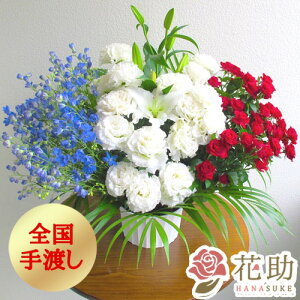 yEn͂zz Dt 摜 t[RVFWIԉ̑Iׂ3F̃AWgԁ@15000~ D JXj a j \ S